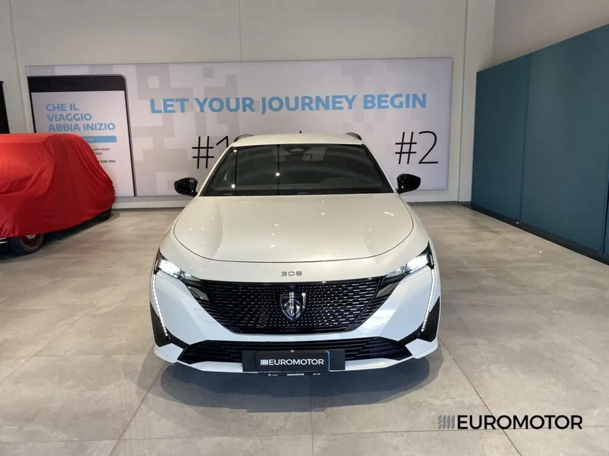 Peugeot 308 SW usata a Bari (2)