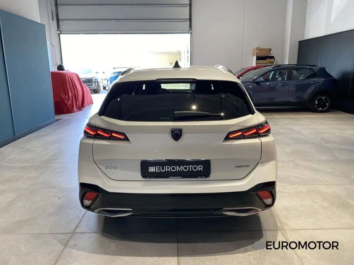 Peugeot 308 SW usata a Bari (9)