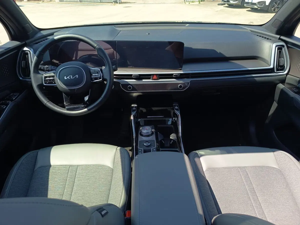 Kia Sorento usata a Cosenza (12)