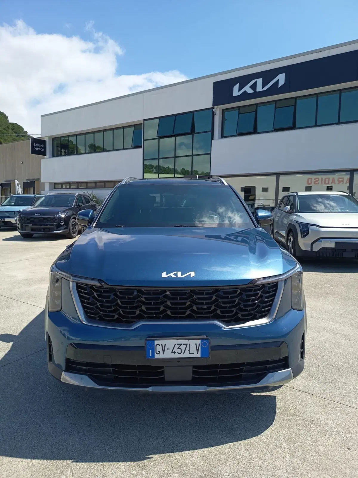 Kia Sorento usata a Cosenza (2)