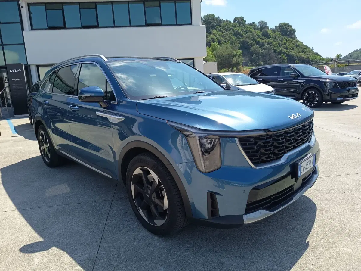 Kia Sorento usata a Cosenza (3)