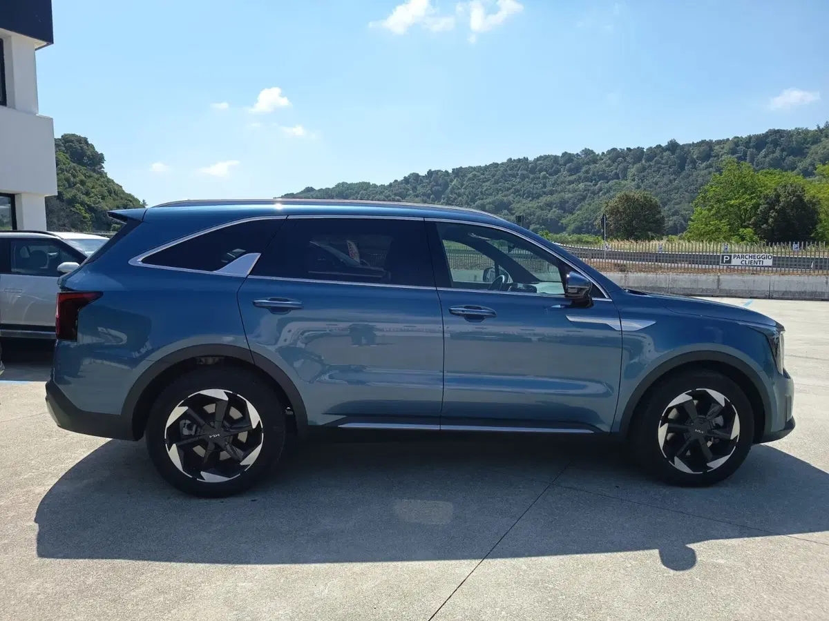 Kia Sorento usata a Cosenza (4)