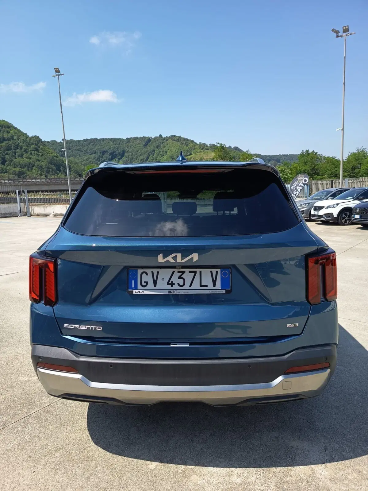 Kia Sorento usata a Cosenza (6)