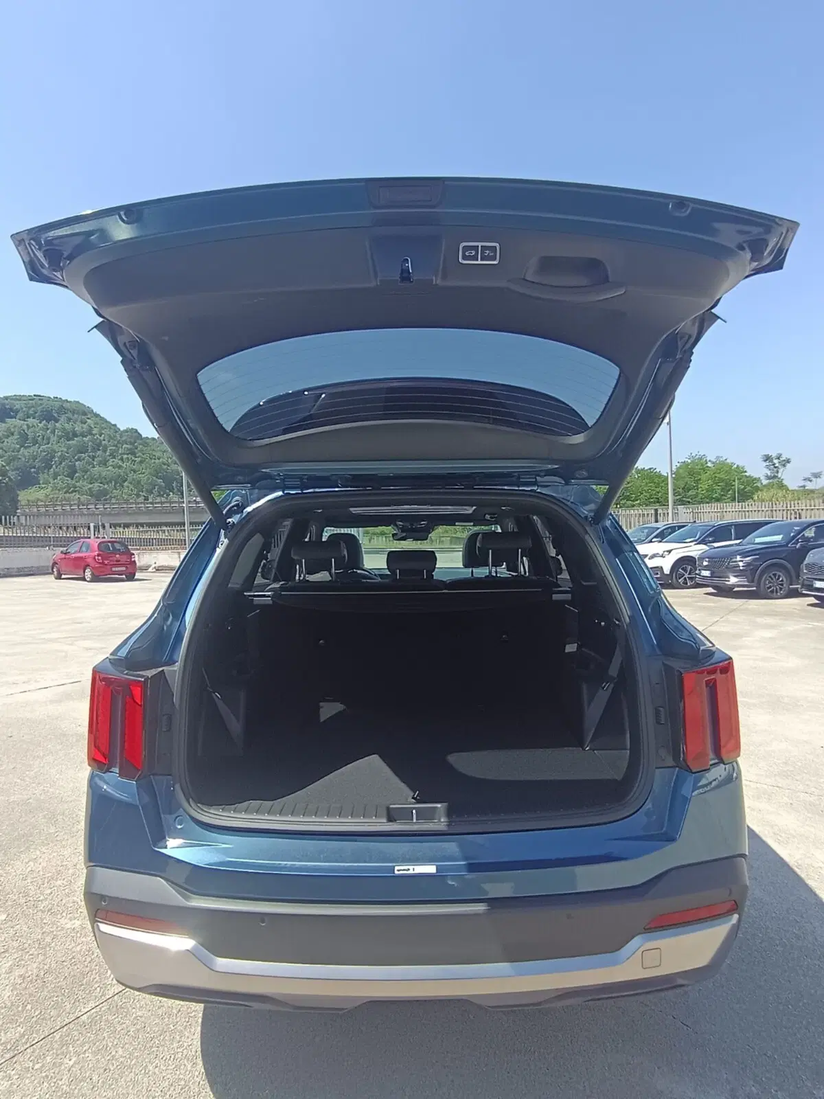 Kia Sorento usata a Cosenza (7)