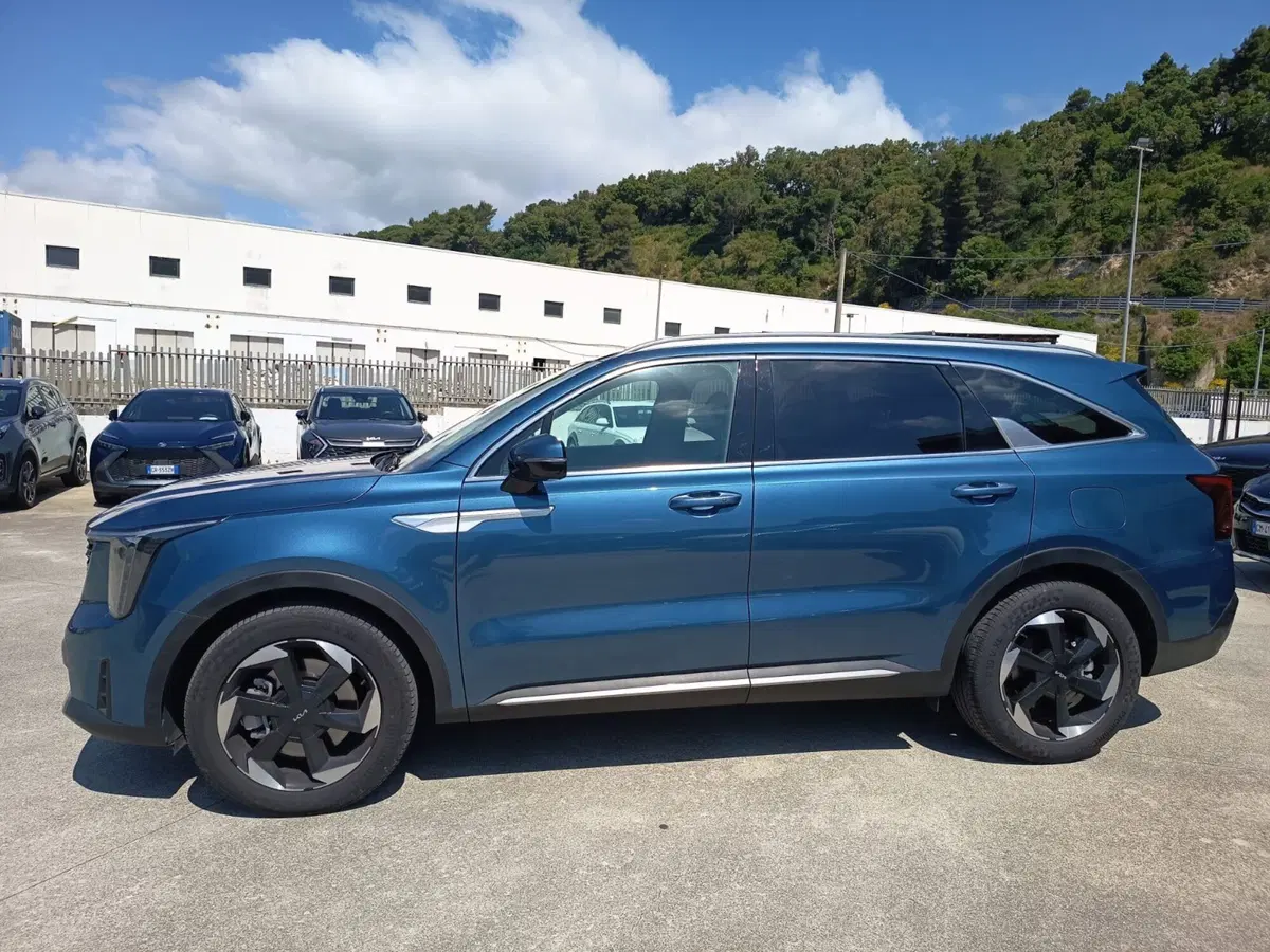 Kia Sorento usata a Cosenza (9)