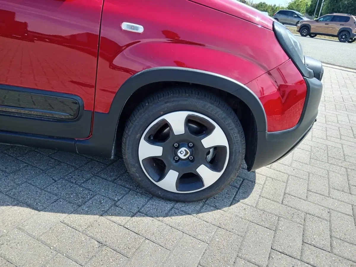 Fiat Panda Cross usata a Alessandria (10)