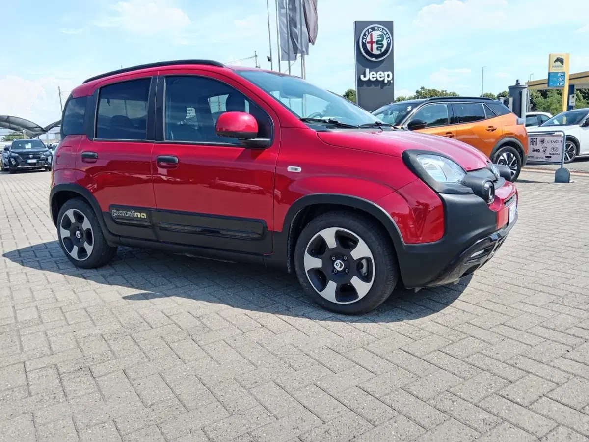Fiat Panda Cross usata a Alessandria (3)