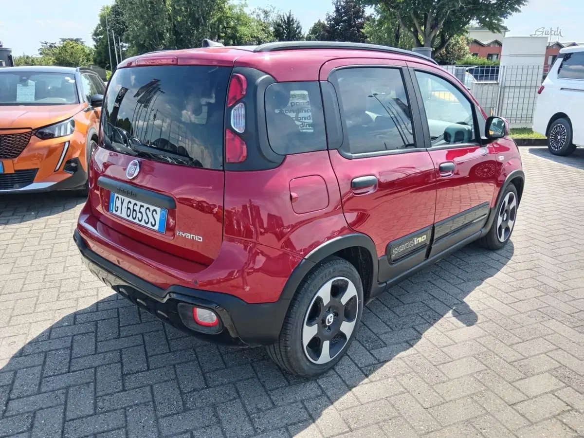 Fiat Panda Cross usata a Alessandria (5)