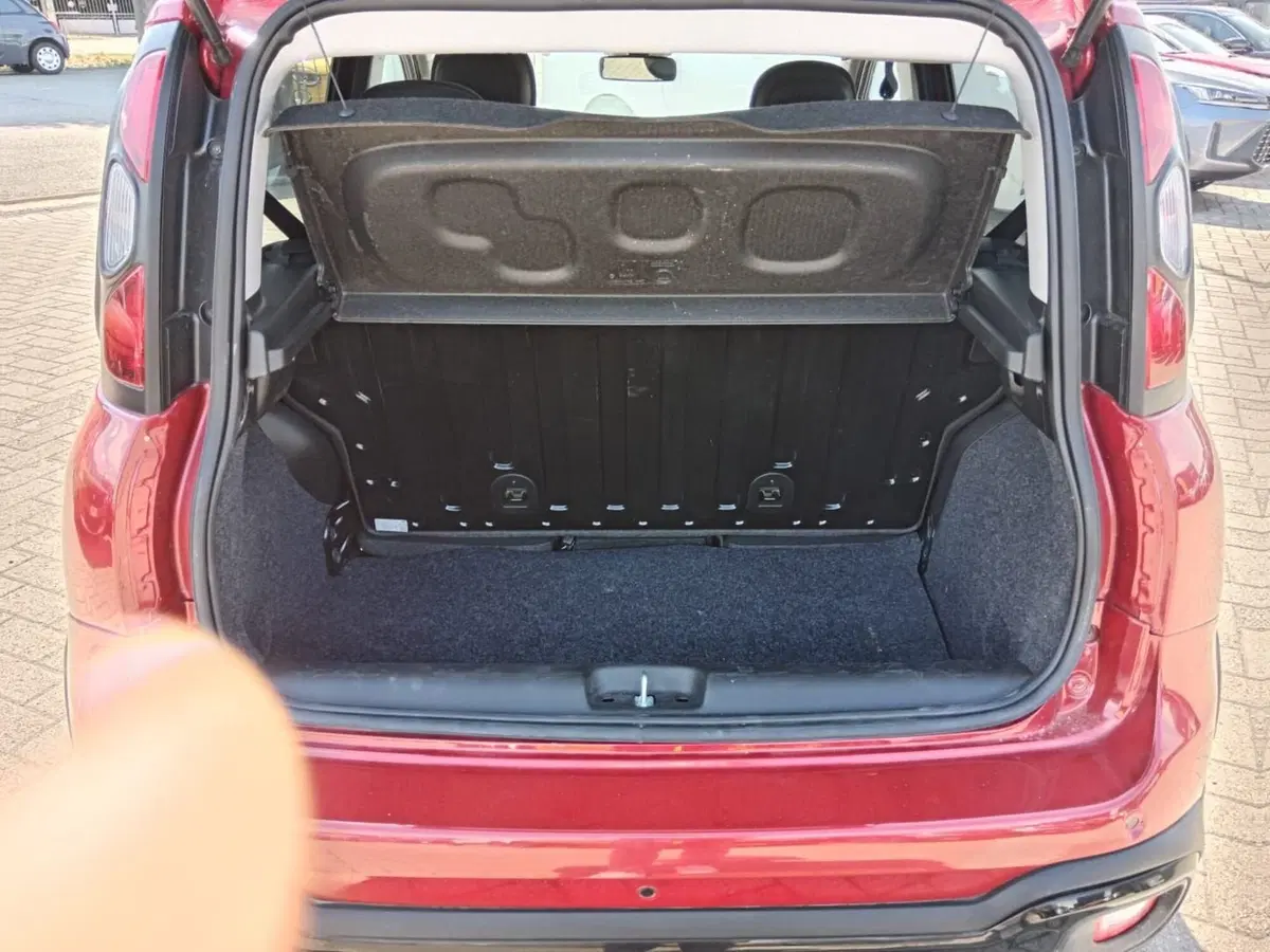 Fiat Panda Cross usata a Alessandria (7)