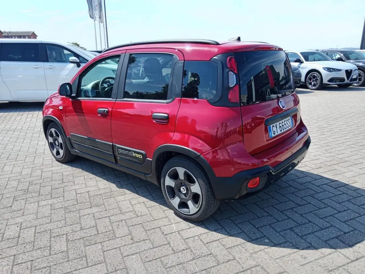 Fiat Panda Cross usata a Alessandria (8)