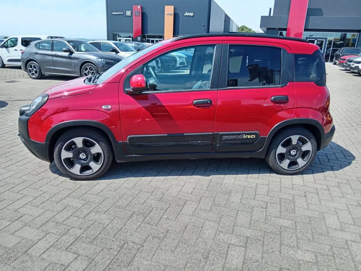 Fiat Panda Cross usata a Alessandria (9)