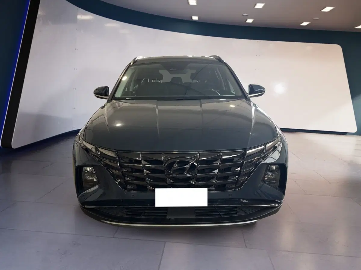 Hyundai Tucson usata a Torino