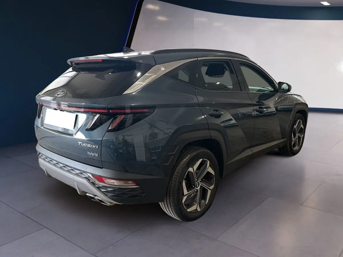 Hyundai Tucson usata a Torino (6)