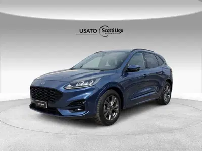 Ford Kuga 1.5 EcoBlue 120 CV 2WD ST-Line del 2022 usata a Pisa