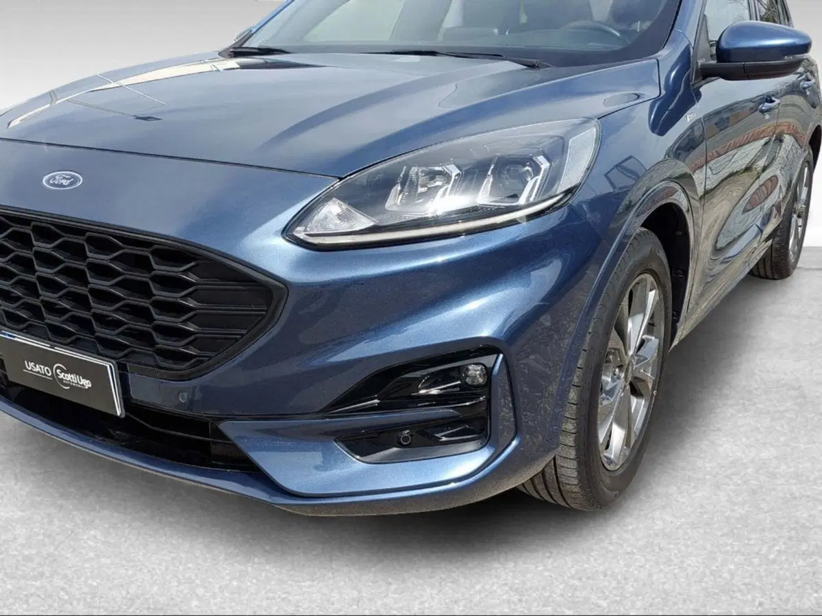 Ford Kuga usata a Pisa (17)