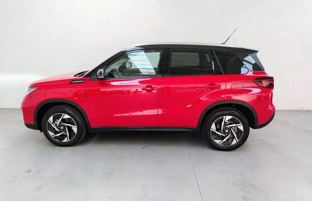 Suzuki Vitara usata a Rovigo (4)