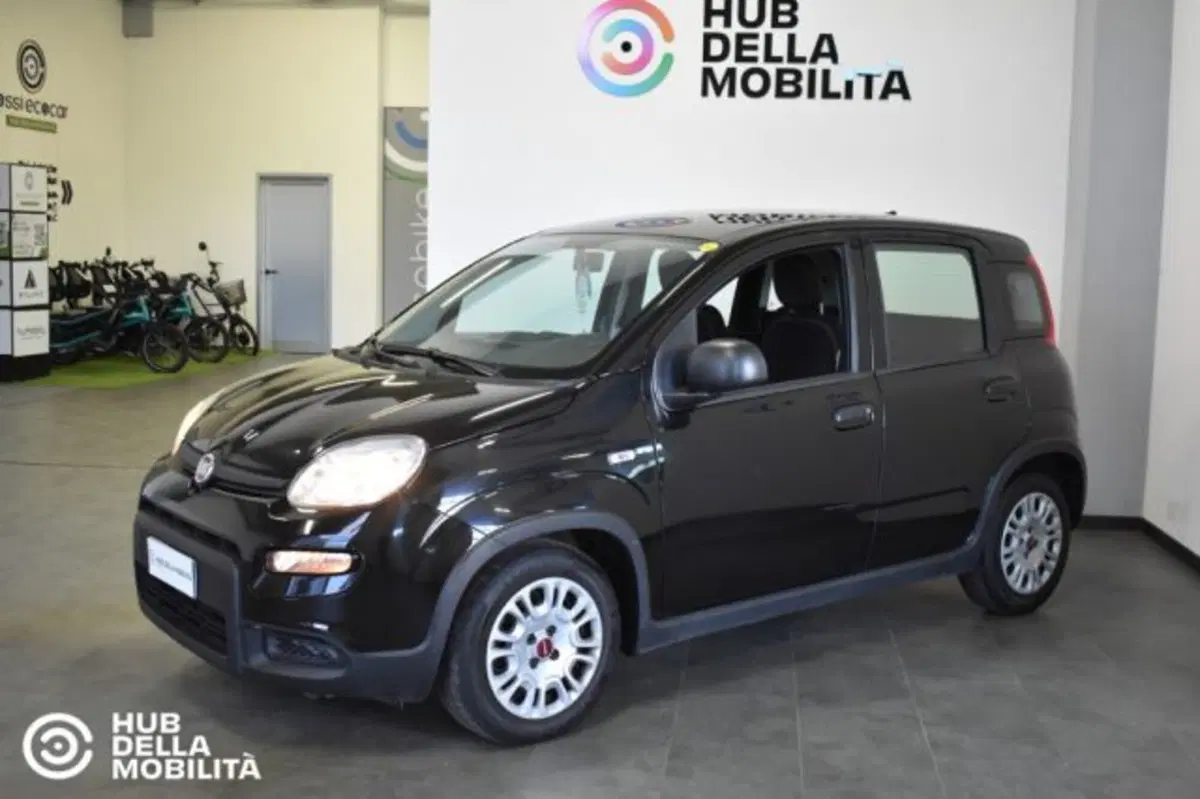 Fiat Panda usata a Perugia (3)