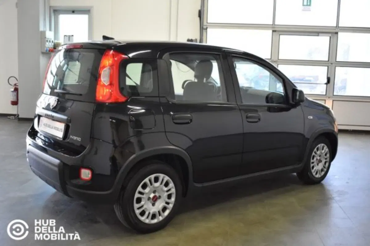 Fiat Panda usata a Perugia (6)