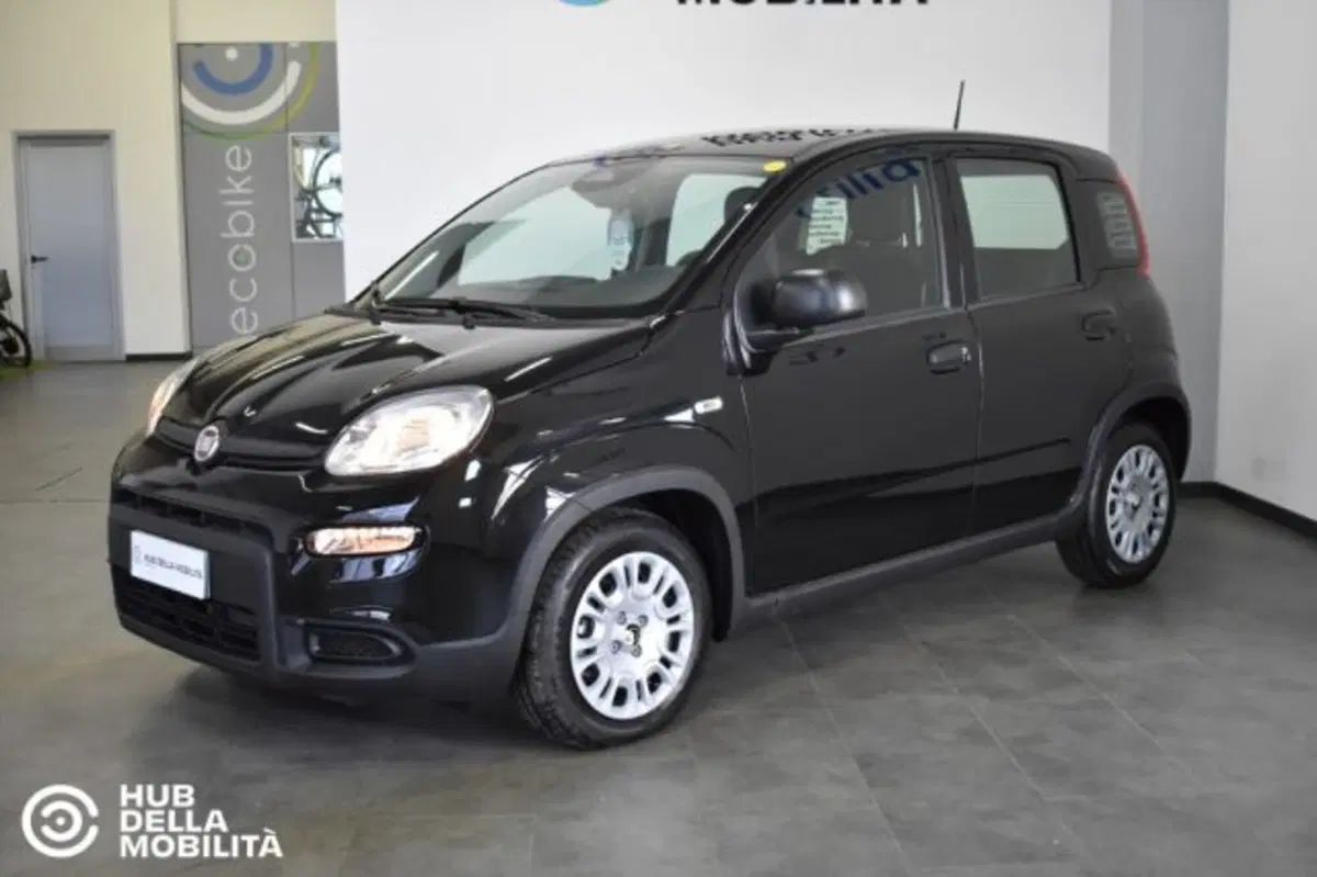 Fiat Panda nuova a Perugia (3)