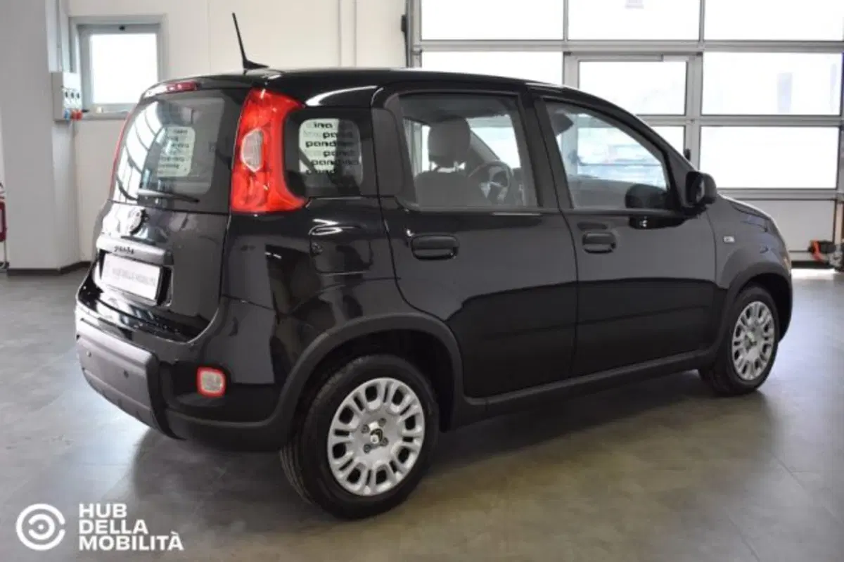 Fiat Panda nuova a Perugia (4)