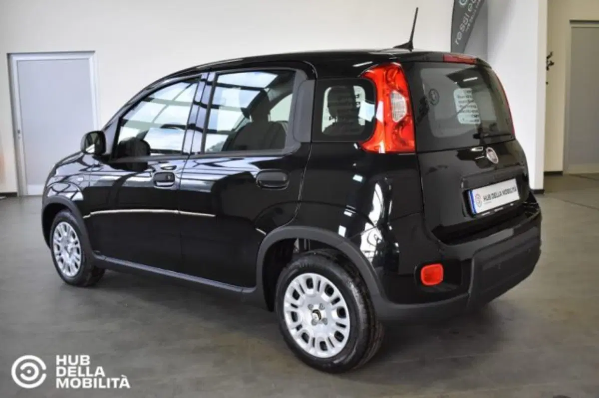 Fiat Panda nuova a Perugia (6)