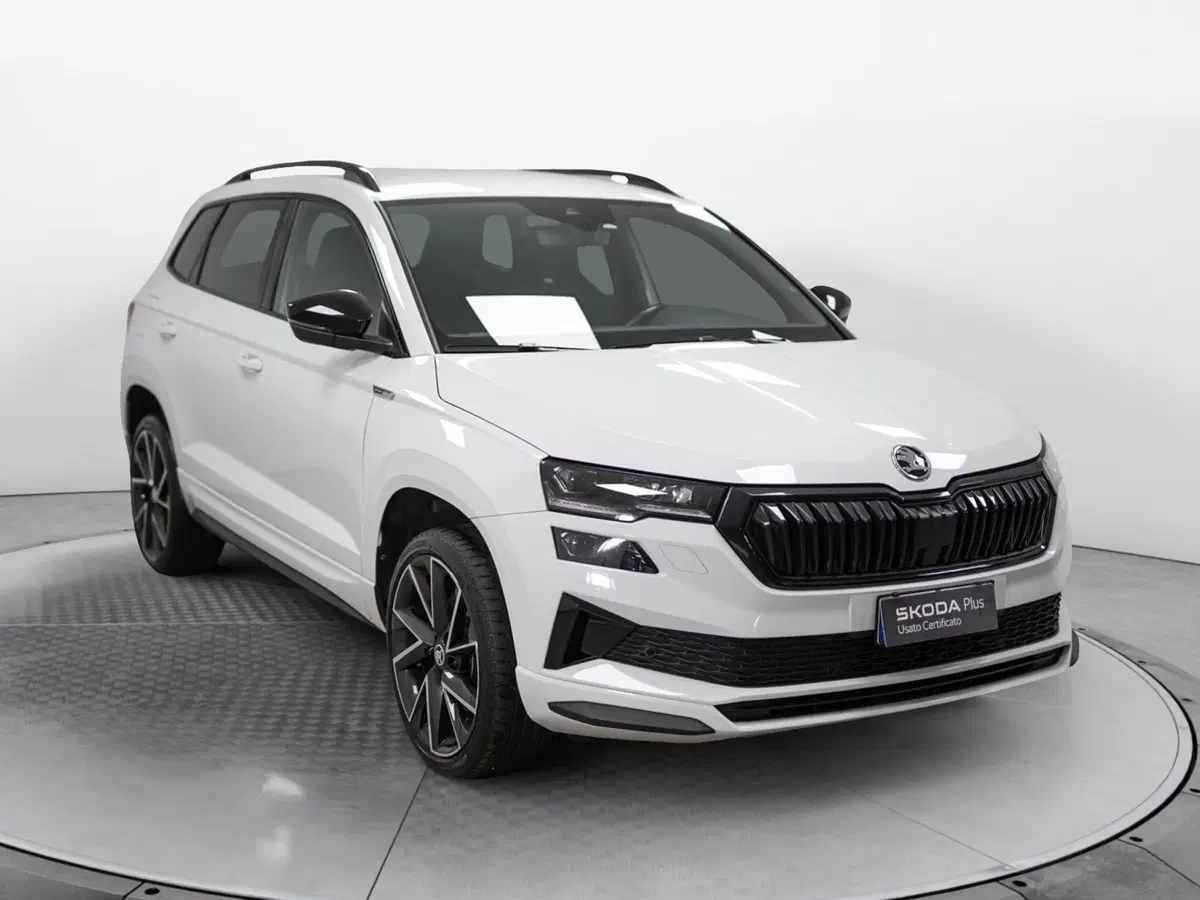 Skoda Karoq usata a Varese (3)