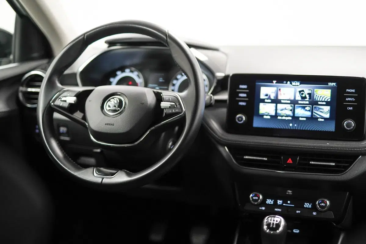 Skoda Fabia usata a Varese (11)