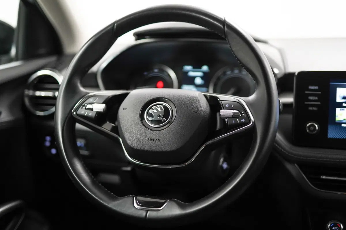 Skoda Fabia usata a Varese (12)