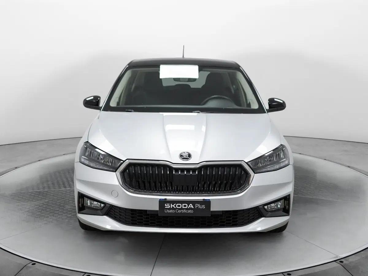 Skoda Fabia usata a Varese (2)