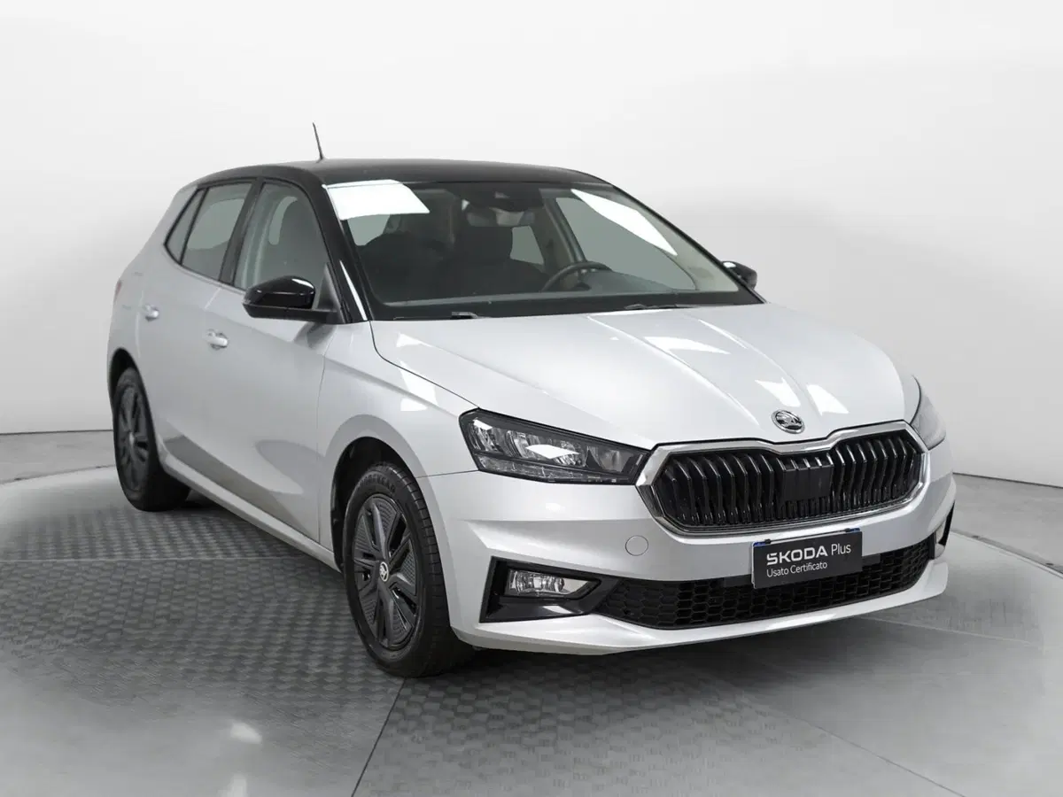 Skoda Fabia usata a Varese (3)