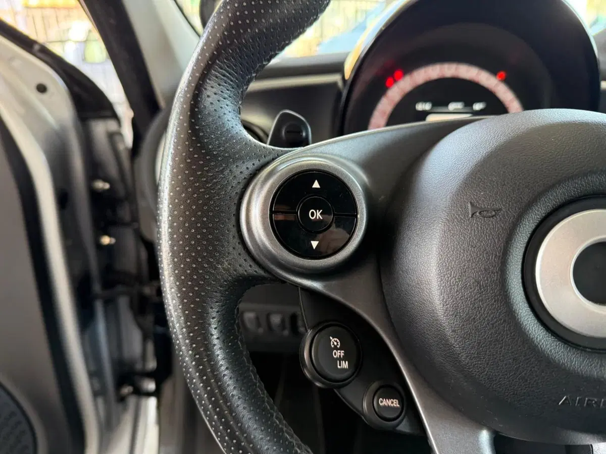 smart forfour usata a Brescia (13)