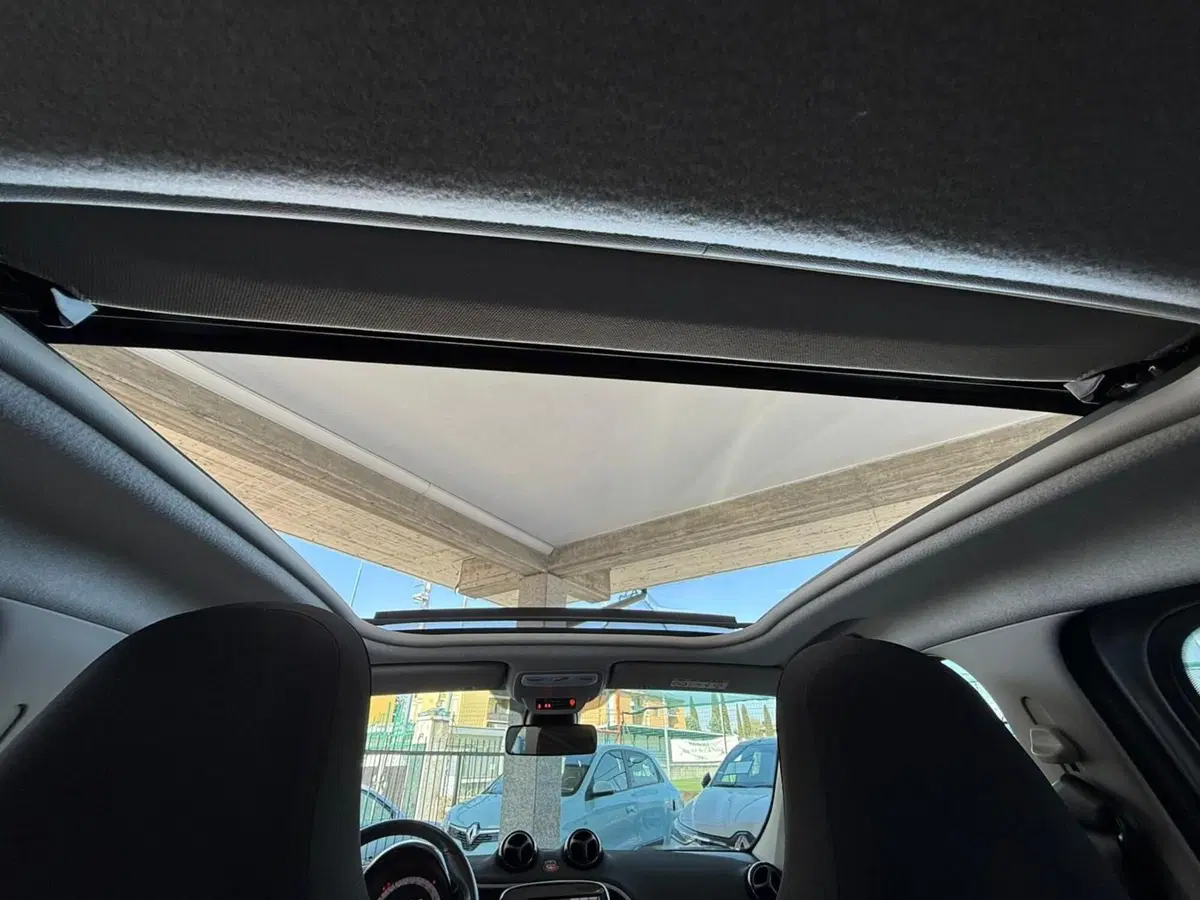 smart forfour usata a Brescia (15)