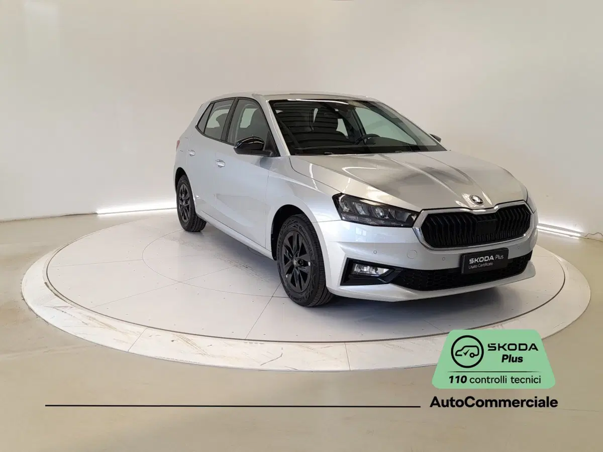 Skoda Fabia usata a Bologna