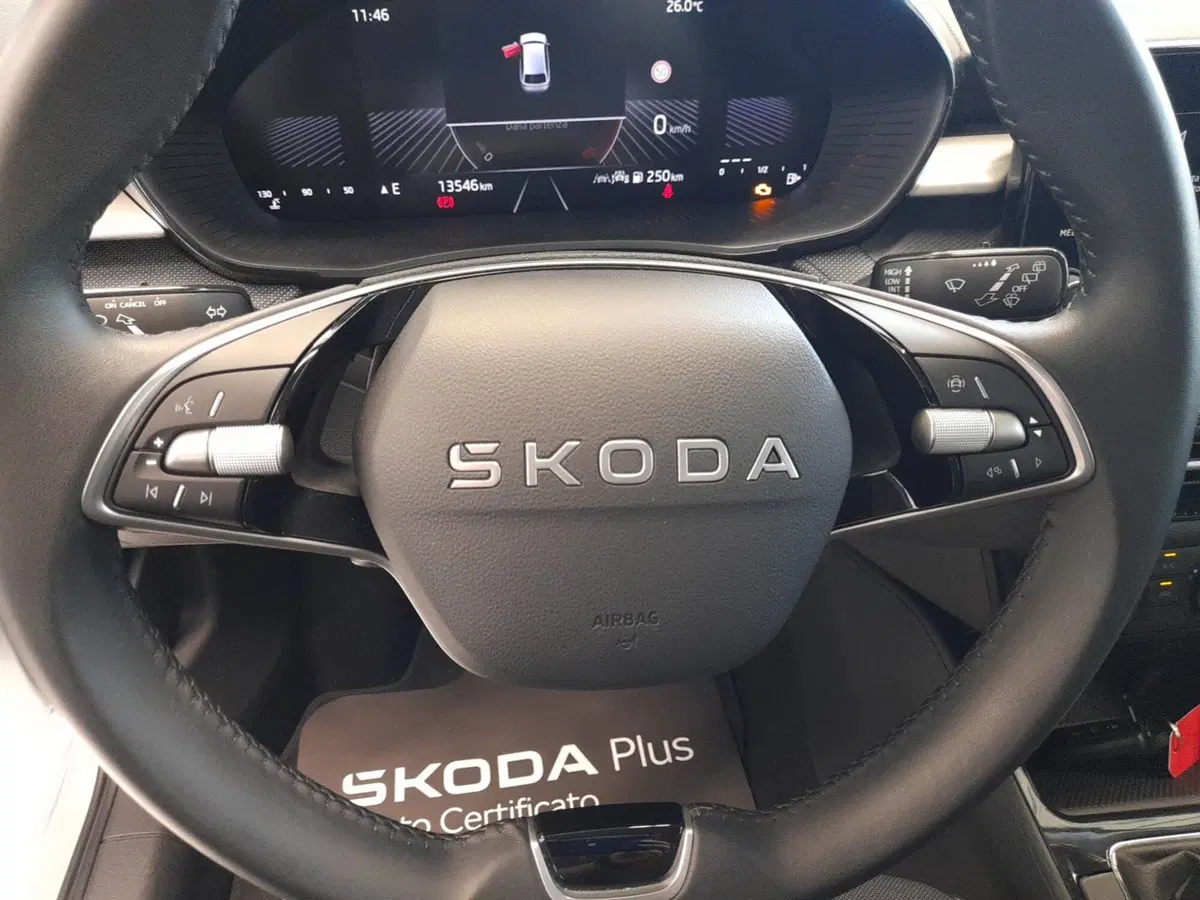 Skoda Fabia usata a Bologna (11)