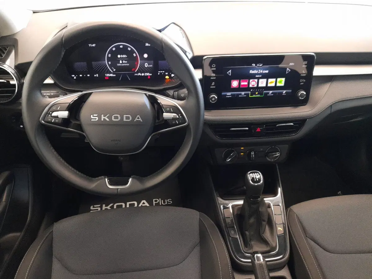 Skoda Fabia usata a Bologna (15)