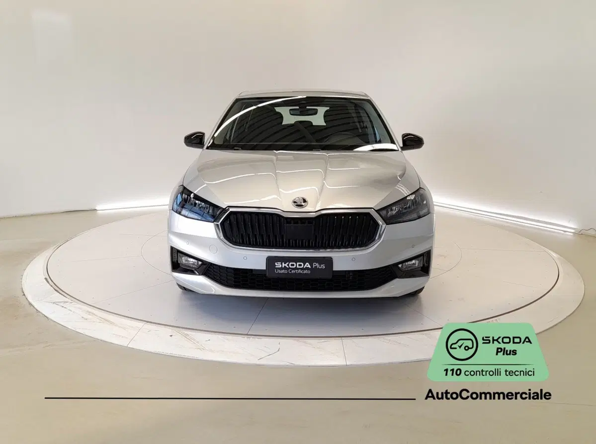 Skoda Fabia usata a Bologna (2)