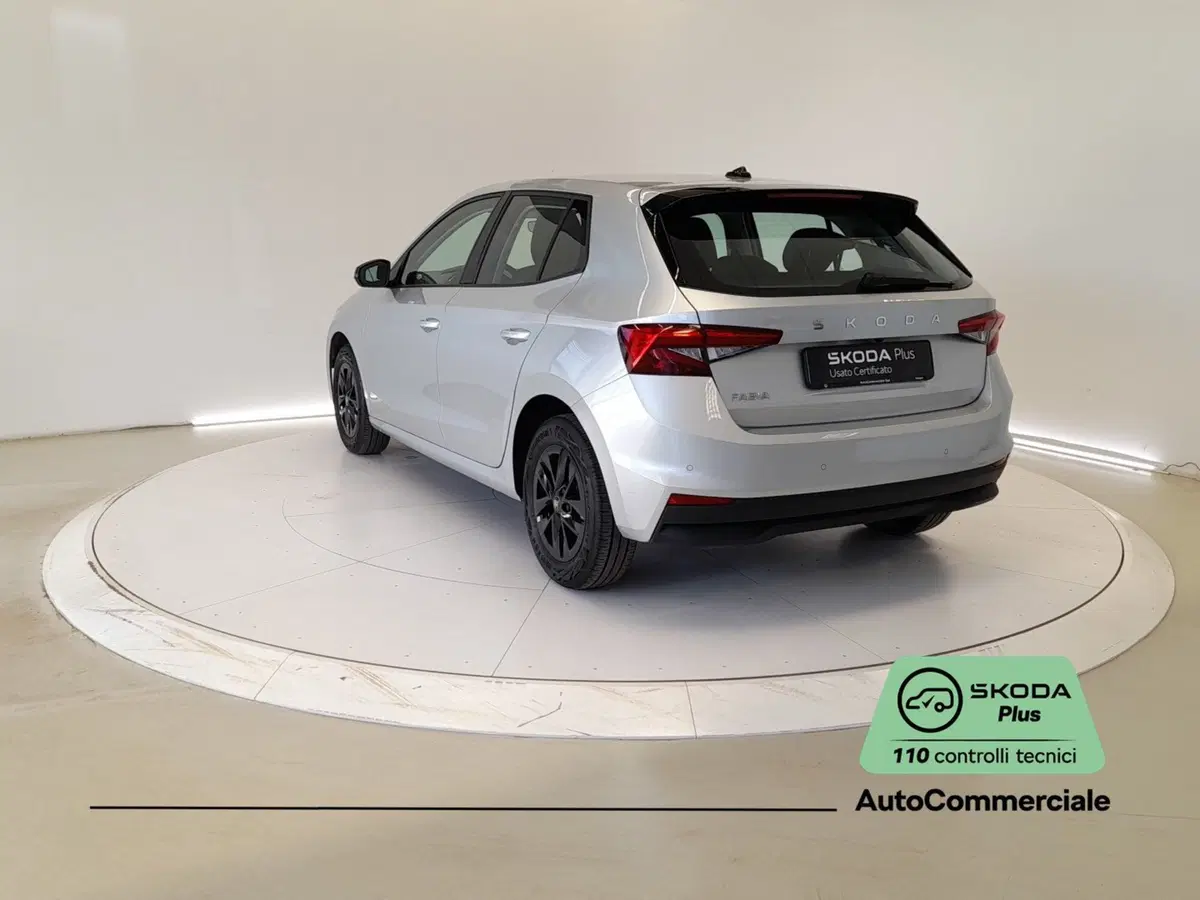 Skoda Fabia usata a Bologna (4)