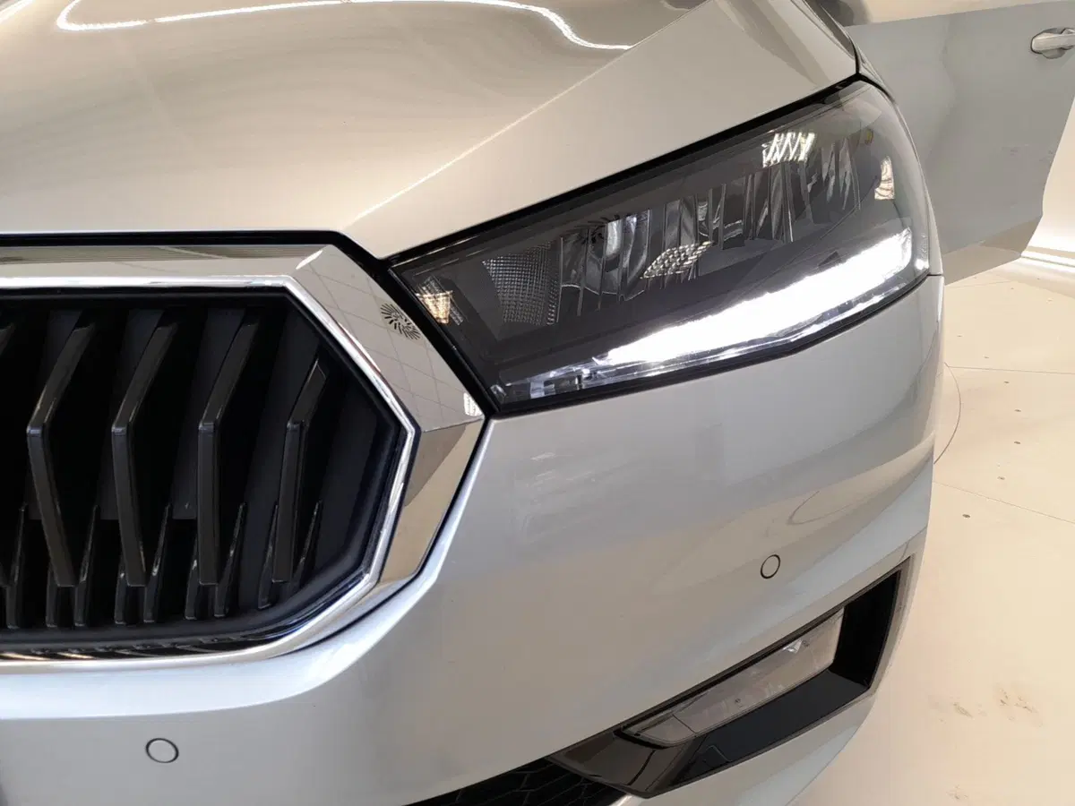 Skoda Fabia usata a Bologna (8)