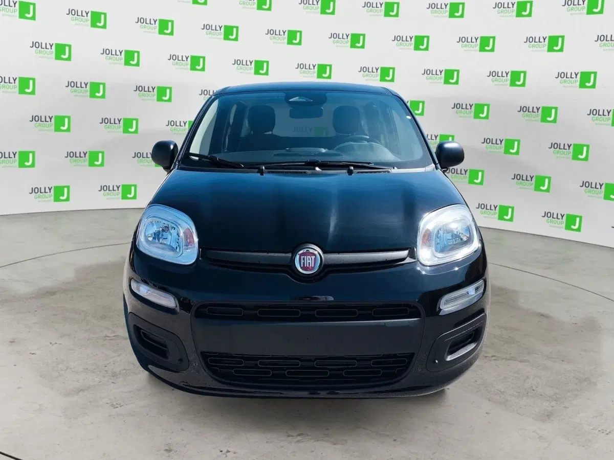 Fiat Panda nuova a Frosinone (2)