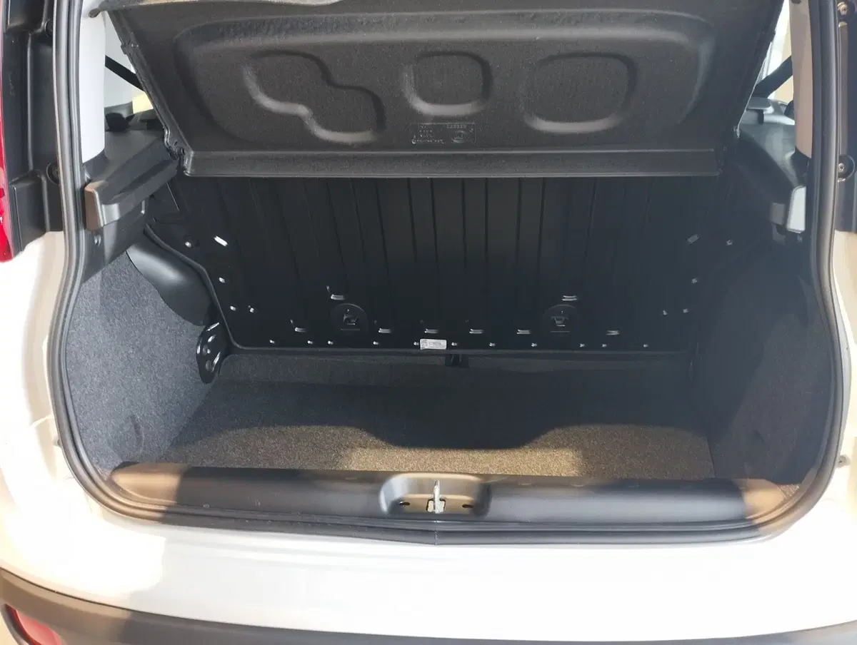 Fiat Panda nuova a Frosinone (11)