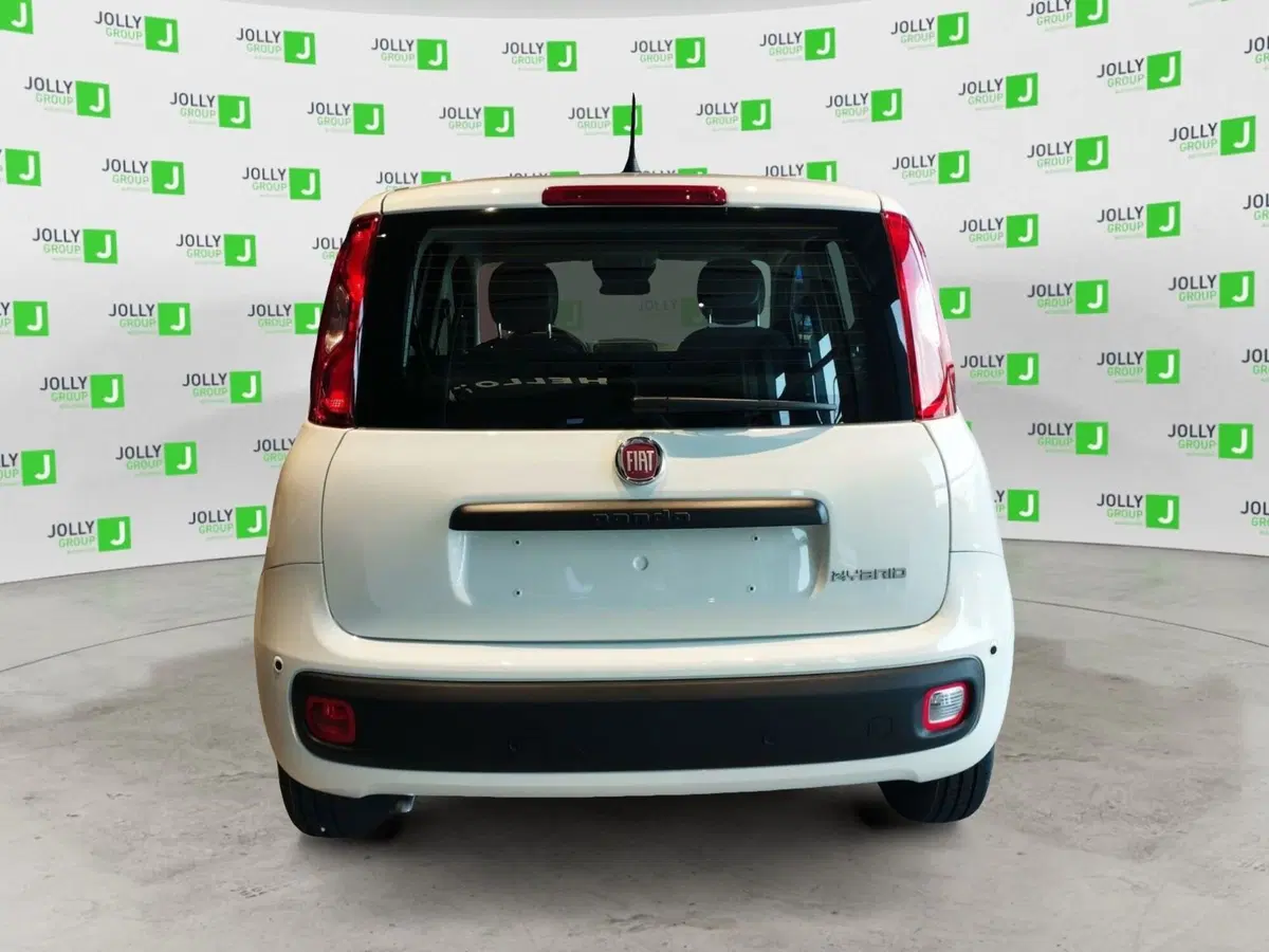 Fiat Pandina nuova a Frosinone (7)