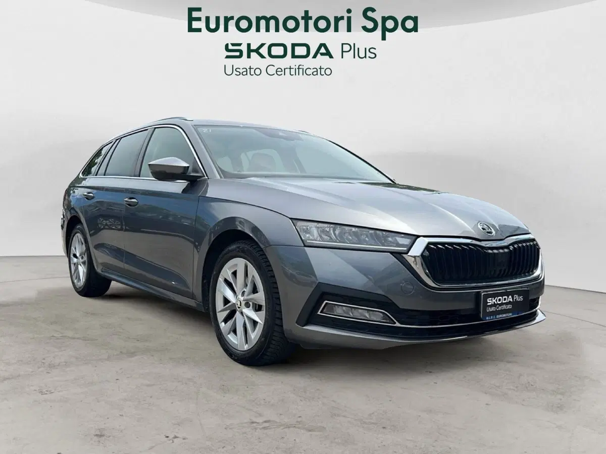 Skoda Octavia Station Wagon usata a Grosseto (7)