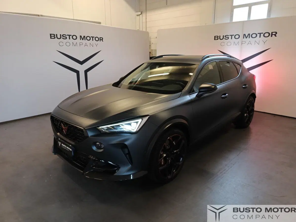 Cupra Formentor usata a Varese (3)