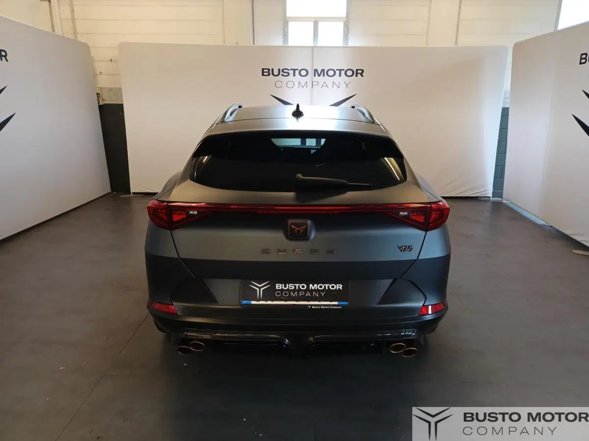 Cupra Formentor usata a Varese (5)