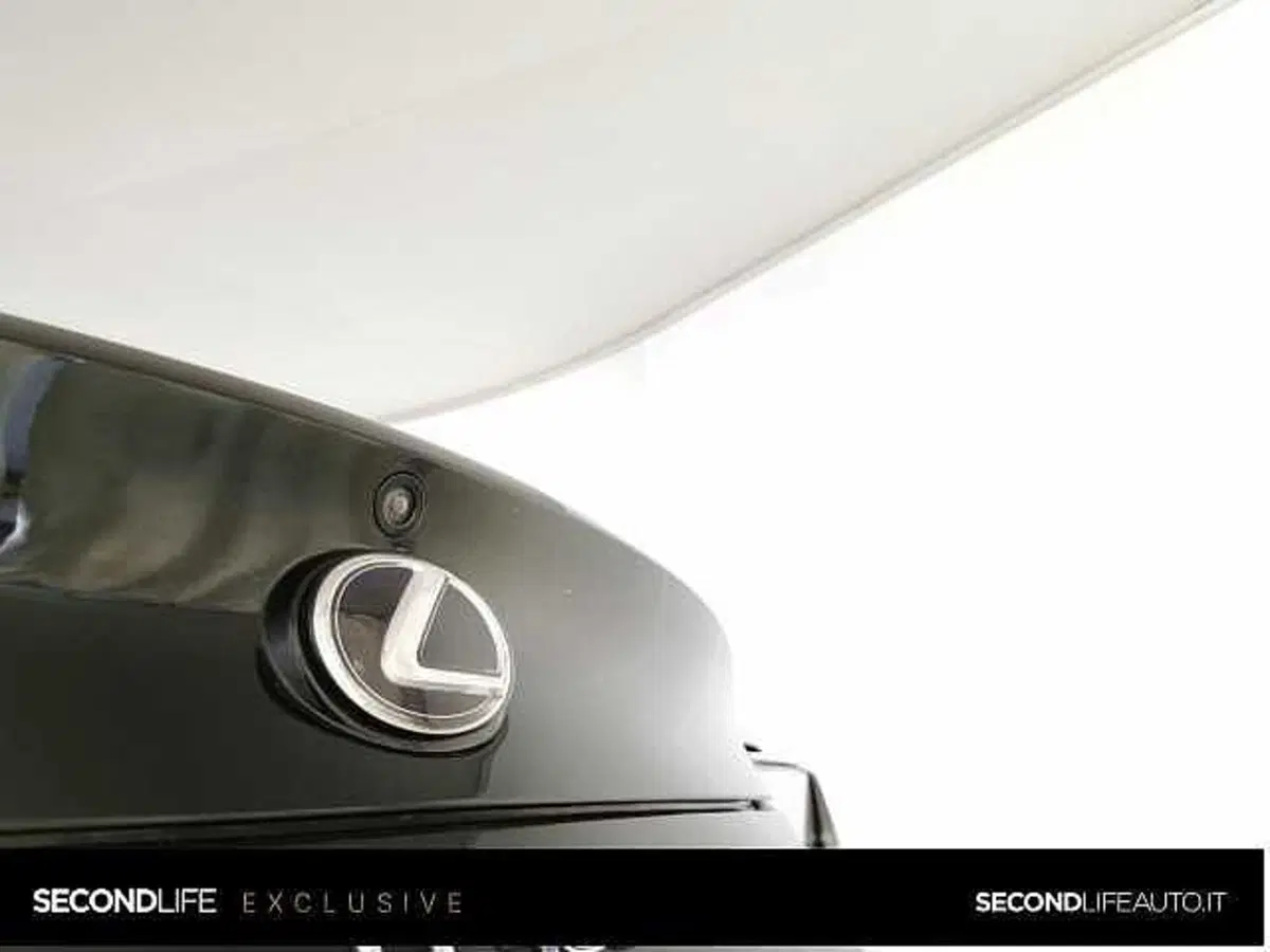 Lexus LC usata a Chieti (10)