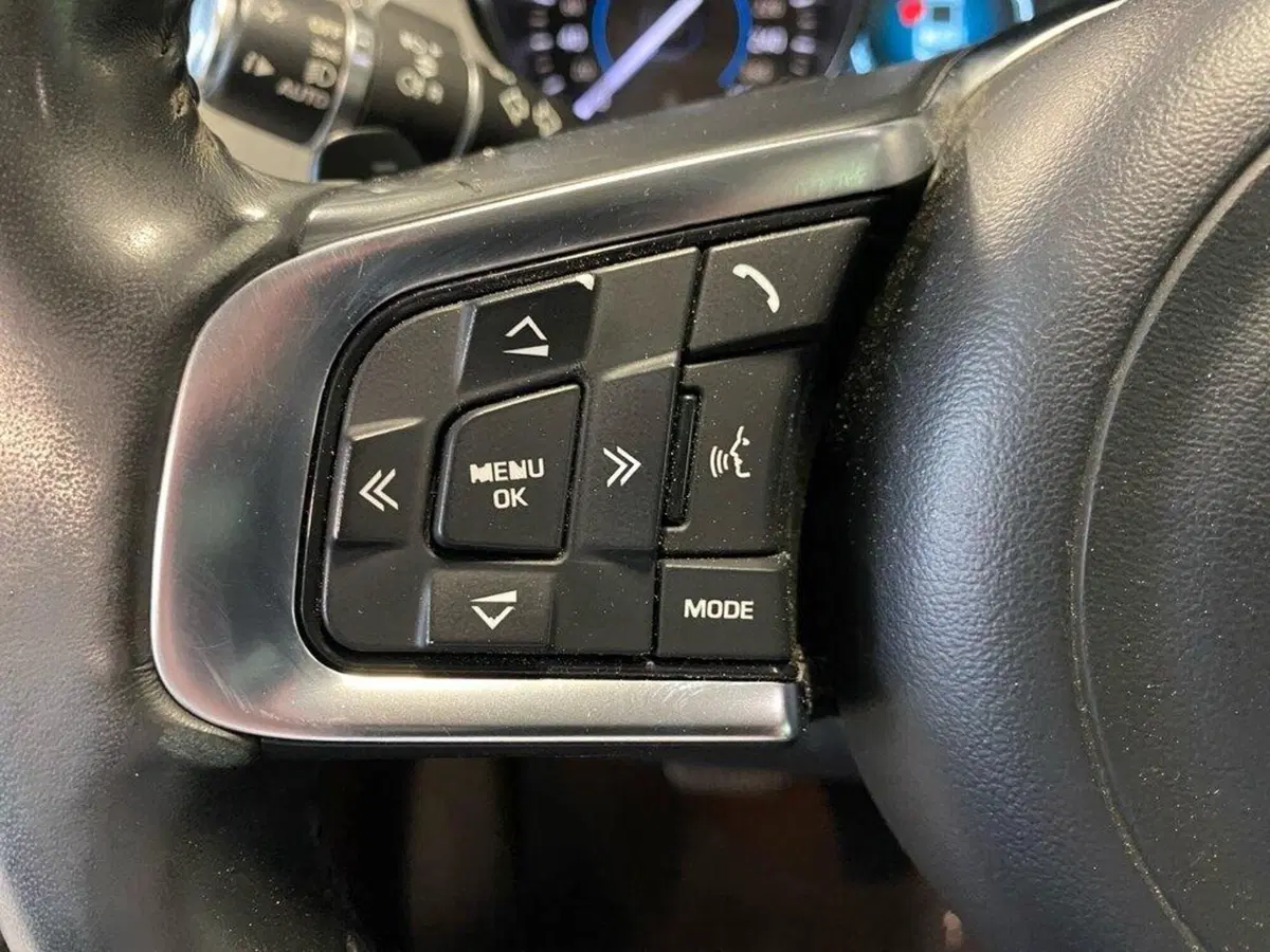 Jaguar F-Pace usata a Torino (13)