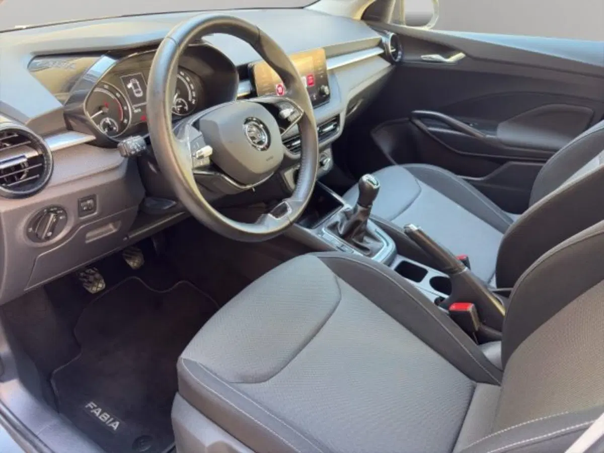 Skoda Fabia usata a Perugia (9)