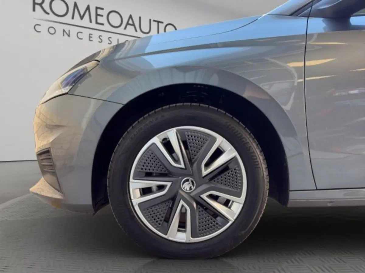 Skoda Fabia usata a Perugia (18)