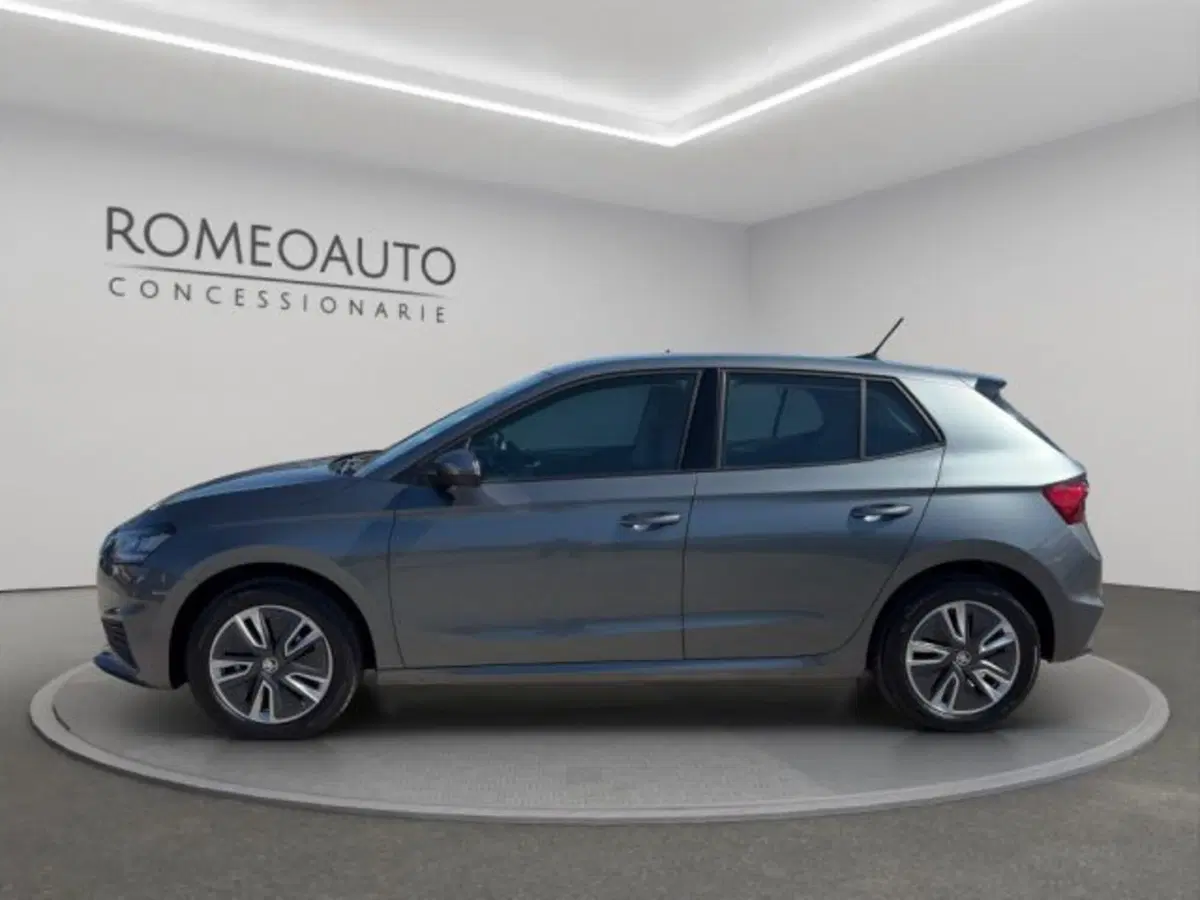 Skoda Fabia usata a Perugia (2)