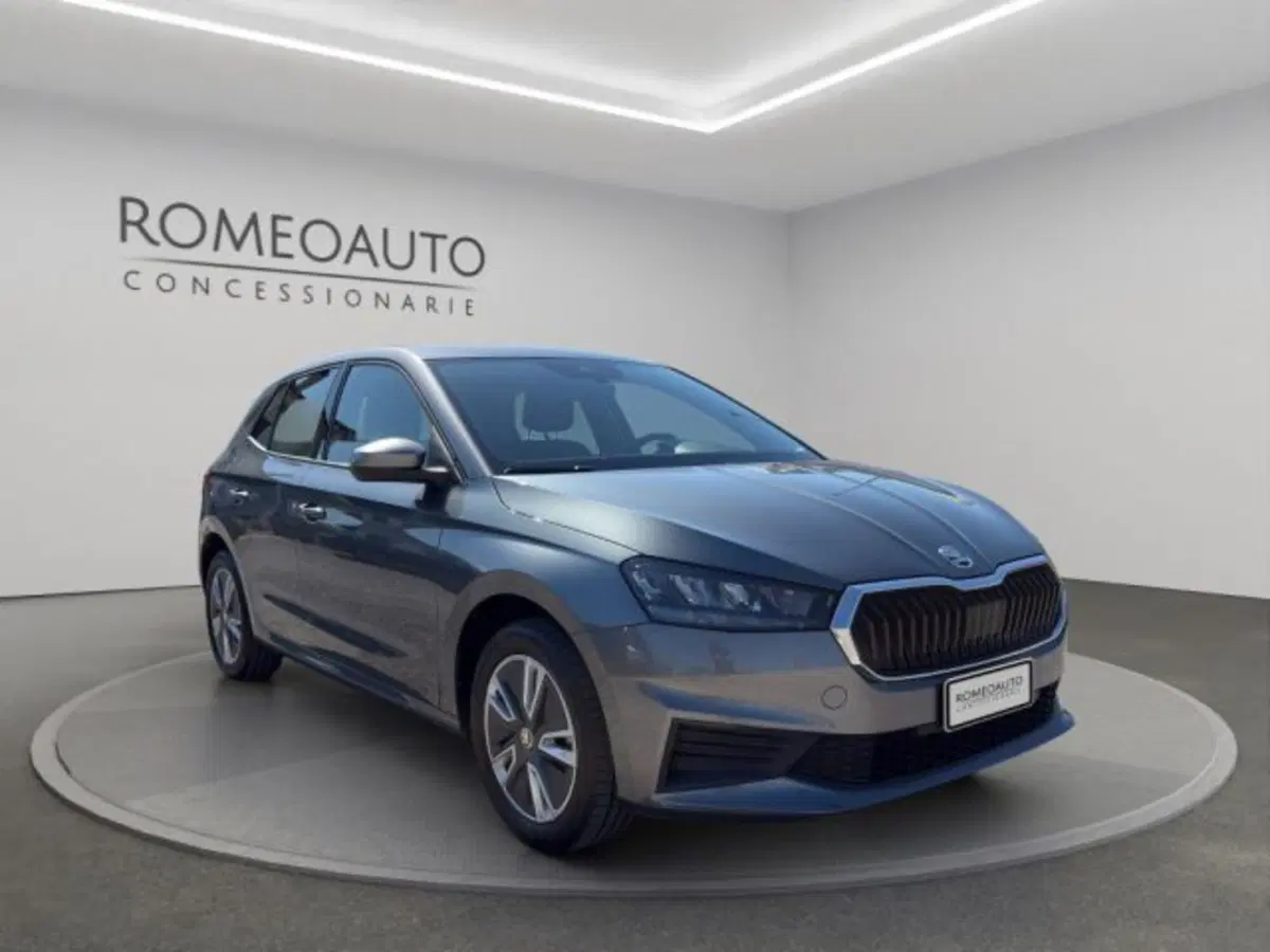 Skoda Fabia usata a Perugia (7)